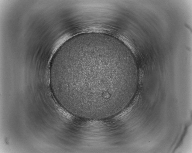 X0000098011075200804071322