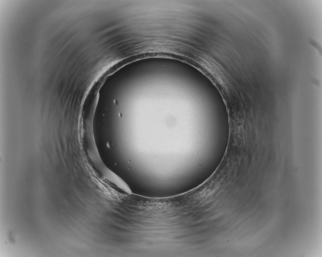 X0000098011076200804071322