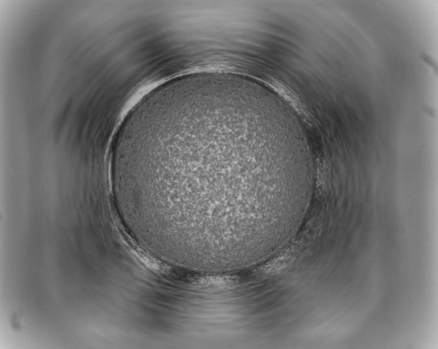 X0000098011078200804071322