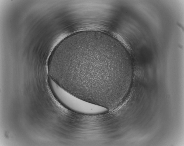 X0000098011079200804071322