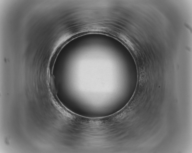 X0000098011080200804071322