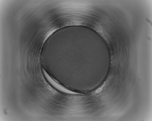 X0000098011081200804071322