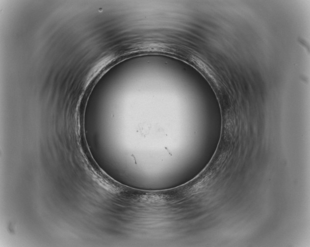 X0000098011082200804071322