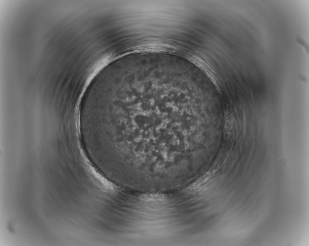 X0000098011083200804071322