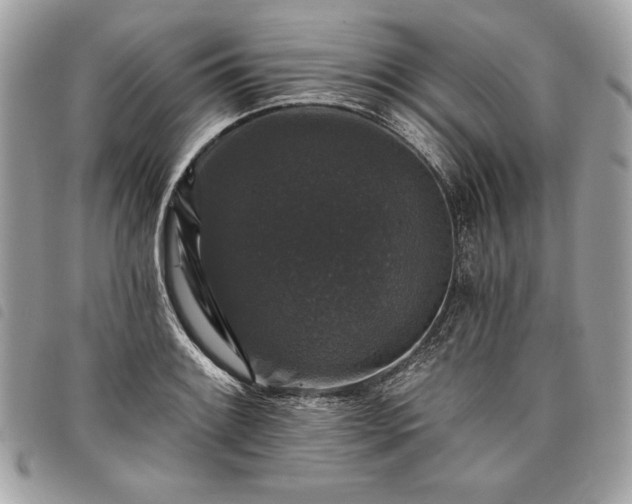 X0000098011084200804071322