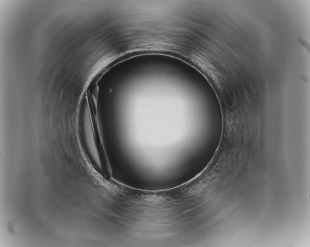 X0000098011085200804071322