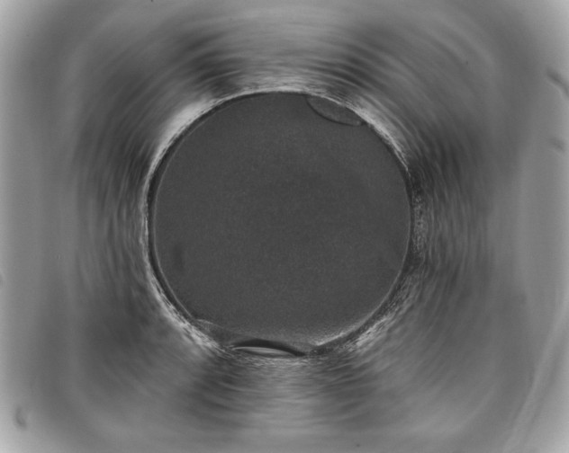 X0000098011088200804071322