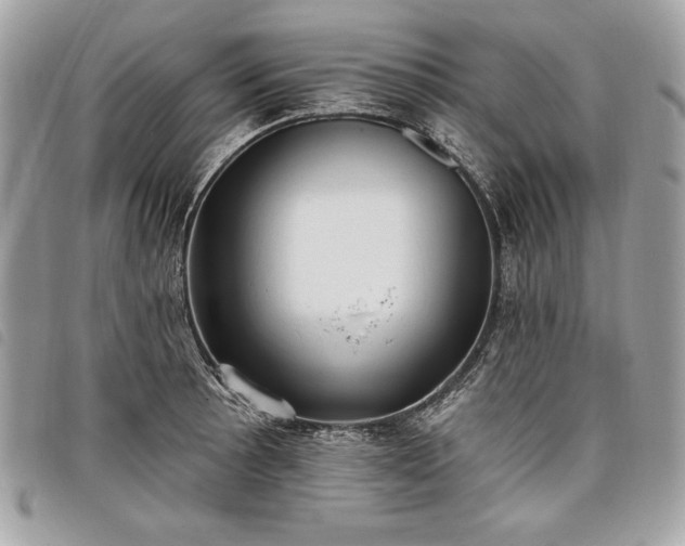 X0000098011089200804071322