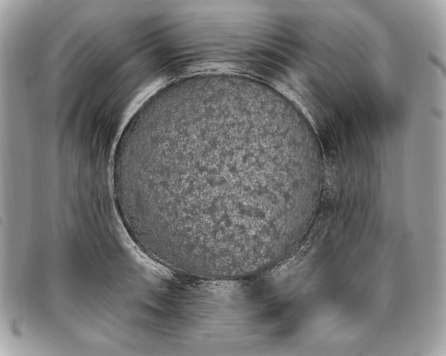 X0000098011090200804071322