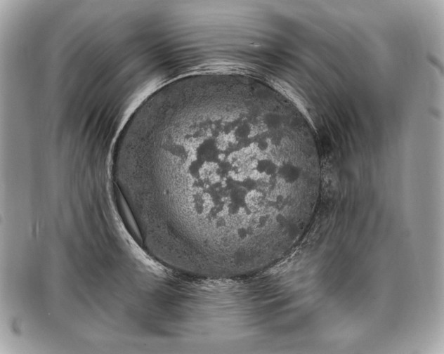 X0000098011091200804071322