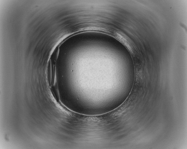 X0000098011092200804071322