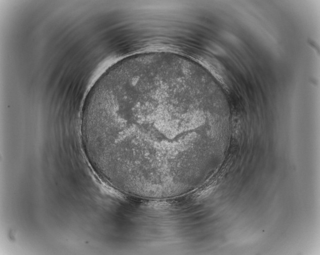 X0000098011094200804071322