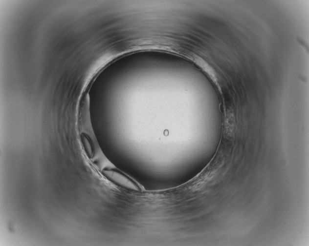 X0000098011096200804071322