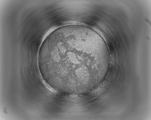 X0000098011098200804071322