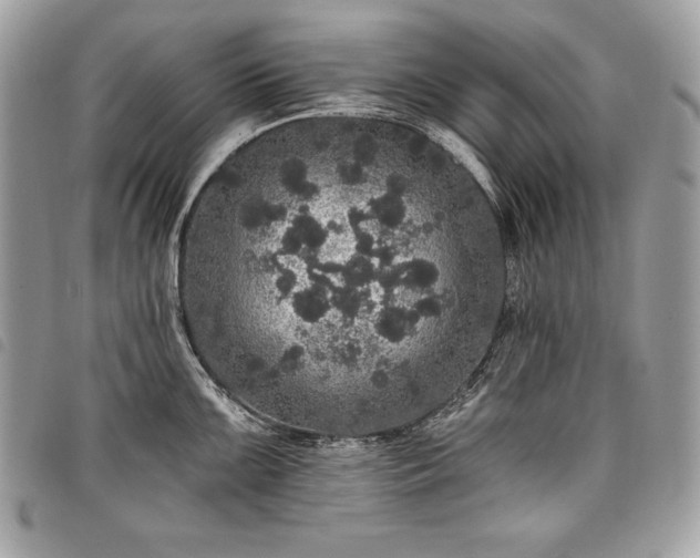 X0000098011099200804071322