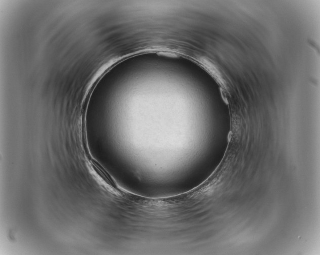 X0000098011100200804071322