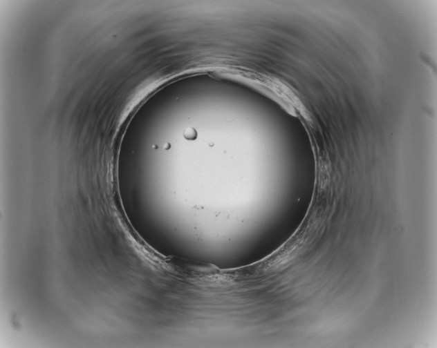 X0000098011101200804071322