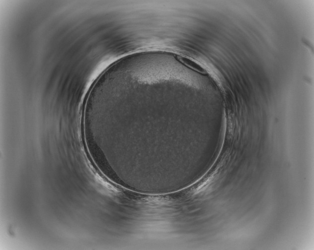 X0000098011102200804071321