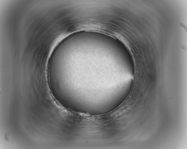 X0000098011104200804071321