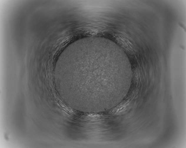 X0000098011105200804071321