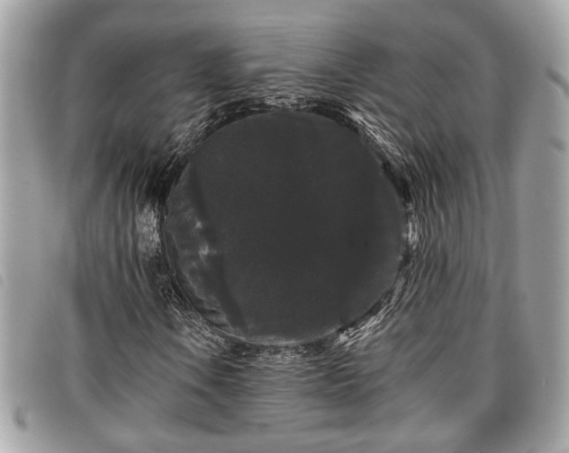 X0000098011106200804071321