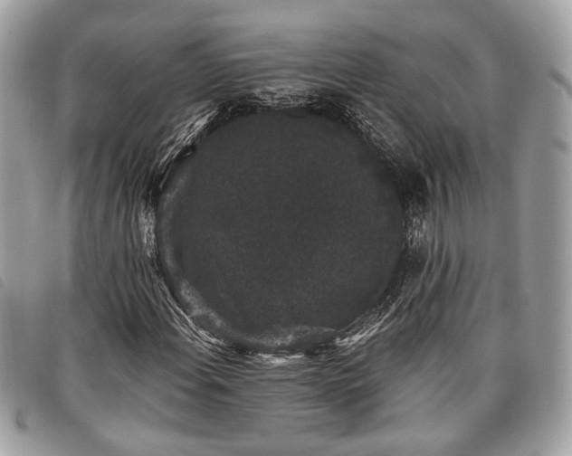 X0000098011108200804071321