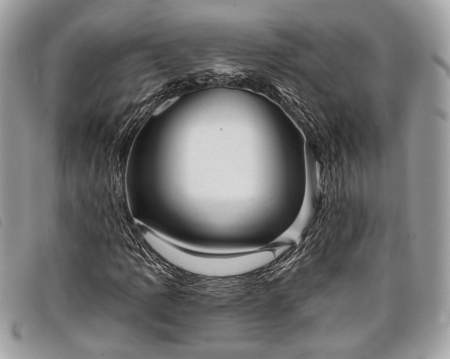 X0000098011109200804071321