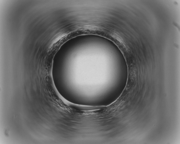 X0000098011112200804071321