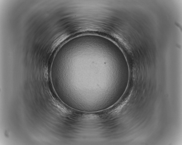 X0000098011113200804071321