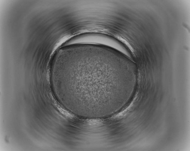 X0000098011114200804071321