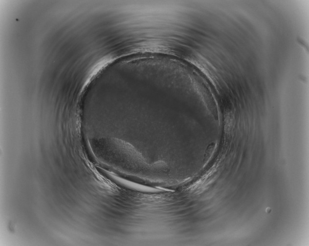 X0000098011115200804071321
