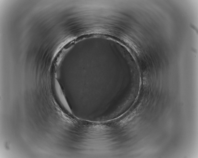 X0000098011117200804071321