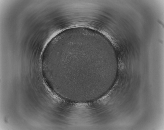 X0000098011118200804071321