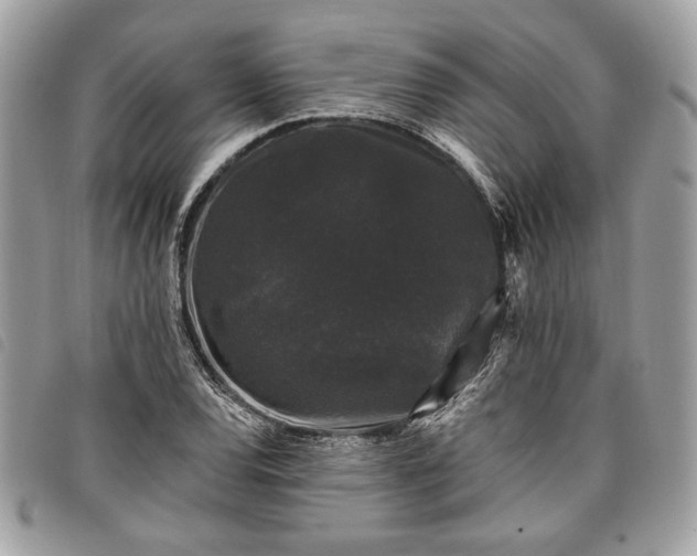 X0000098011120200804071321