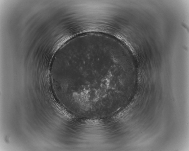X0000098011121200804071321