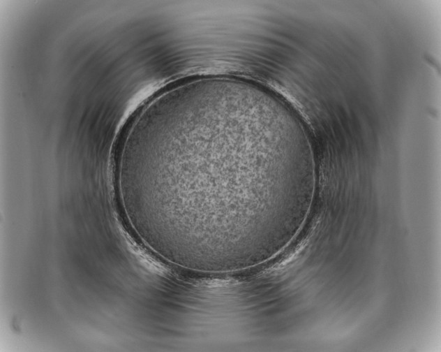 X0000098011122200804071321