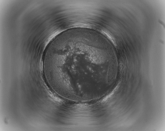 X0000098011125200804071321