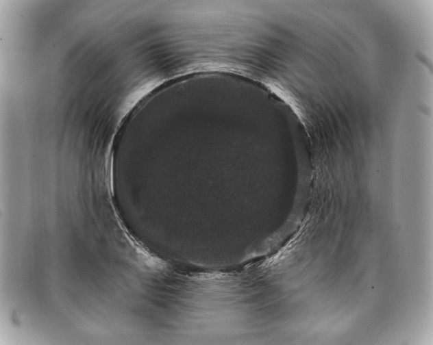X0000098011127200804071321