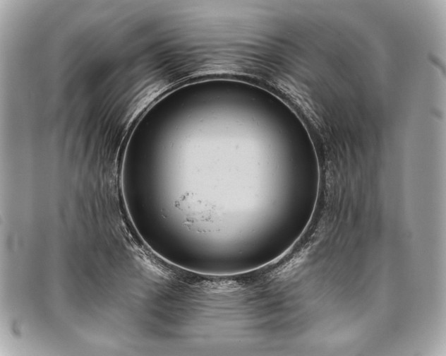 X0000098011129200804071321