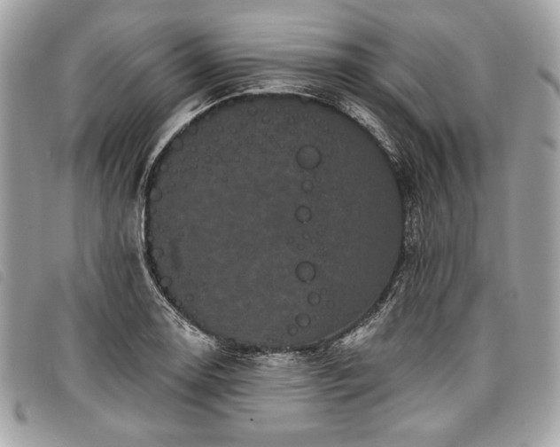 X0000098011130200804071321