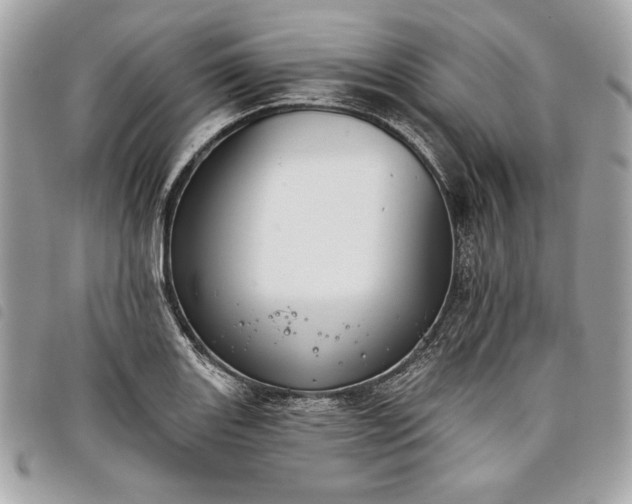 X0000098011131200804071321