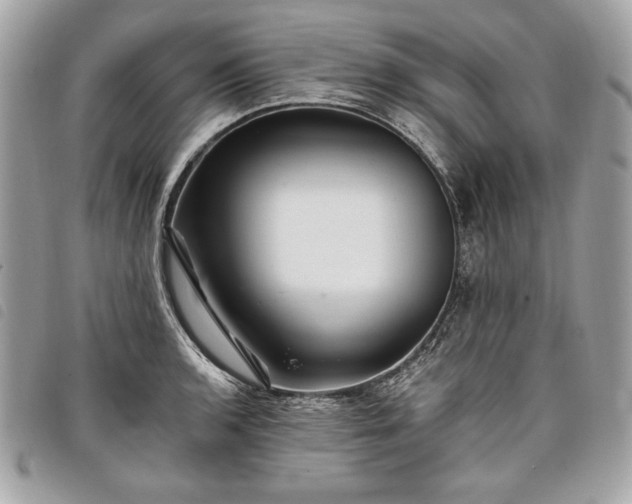 X0000098011136200804071321