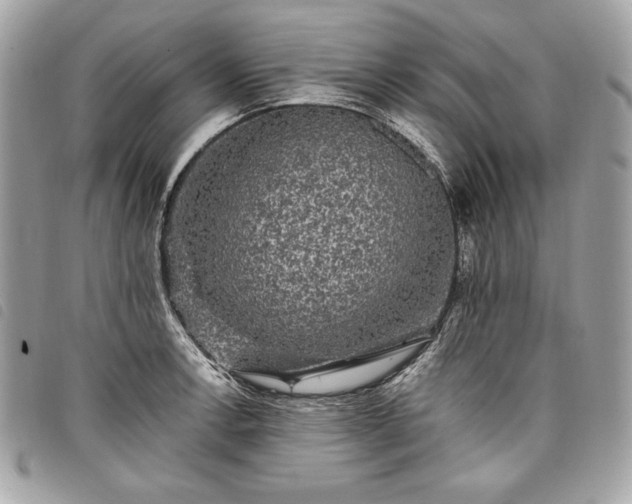 X0000098011138200804071321