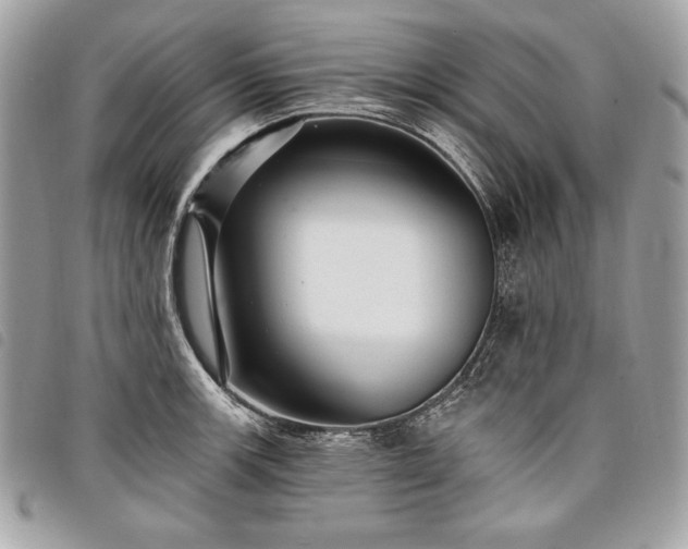 X0000098011139200804071321