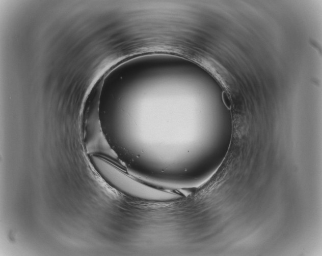 X0000098011140200804071321