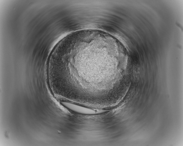 X0000098011142200804071321