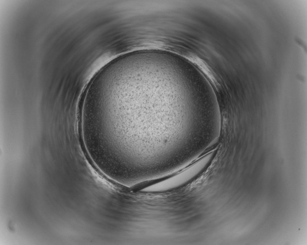 X0000098011143200804071321