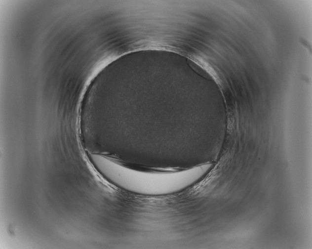 X0000098011144200804071321