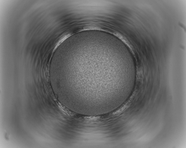 X0000098011145200804071321