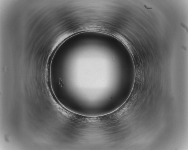 X0000098011147200804071321